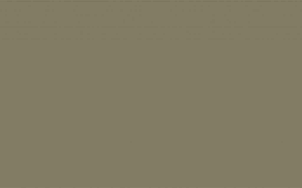 6013.JPG
