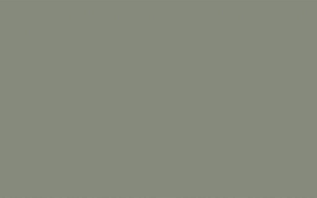 7033.JPG