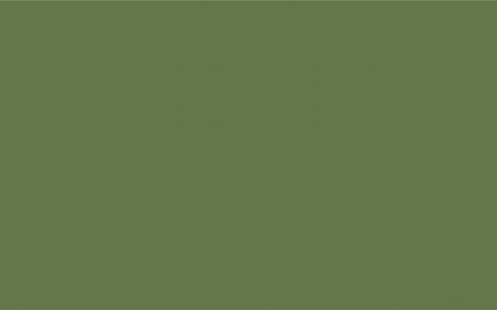 6025.JPG